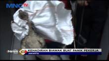 Seekor Biawak Masuk Perkantoran di Jakarta Selatan Usai Hujan Deras