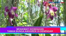 Menikmati Keindahan Taman Bunga Anggrek di Denpasar