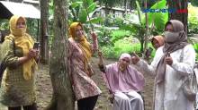 Sensasi Berwisata ke Kebun Durian di Lereng Gunung Raung