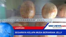 Kelapa Muda Varian Jelly Pemikat Pembeli di Lampung