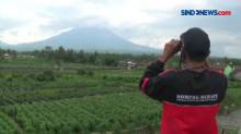 Aktivitas Gunung Merapi Terus Meningkat