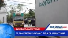 77.760 Vaksin Sinovac Tiba di Jawa Timur