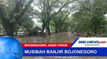 Banjir Rendam Permukiman Warga dan Kayu Jati di Bojonegoro