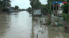 Banjir Rob Terjang Permukiman Pesisir Pantai Utara Pulau Jawa