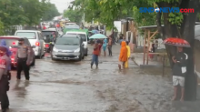 Banjir Rendam Puluhan Rumah Warga Sikka, Warga Tahan Bupati Melintas di Lokasi Banjir