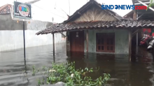 Banjir Masih Merendam Sejumlah Wilayah Kabupaten Pekalongan