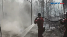 Kebakaran Lahan Gambut di Kalteng dan Riau