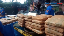 Polisi Cokok 9 Tersangka Kasus Pengedaran Ganja Jaringan Sumatera, 144,5 Ton Ganja Disita