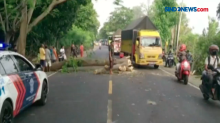 Mobil Tertimpa Pohon Tumbang di Banyuwangi,  Satu Luka Patah Tulang