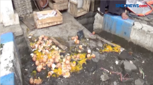 Pedagang di Probolinggo Panik Saat Razia PKL, Ratusan Telur Pecah