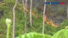 Kebakaran Hutan Terjadi di Hutan Gunung Sipiso, Kabupaten Karo, Sumut