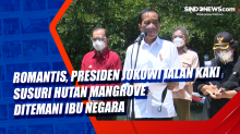 Romantis, Presiden Jokowi Jalan Kaki Susuri Hutan Mangrove Ditemani Ibu Negara