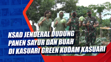 KSAD Jenderal Dudung Panen Sayur dan Buah di Kasuari Green Kodam Kasuari