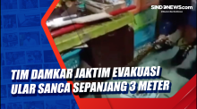 Tim Damkar Jaktim Evakuasi Ular Sanca Sepanjang 3 Meter