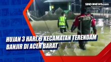 Hujan 3 Hari, 9 Kecamatan Terendam Banjir di Aceh Barat