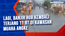 Lagi, Banjir Rob Kembali Terjang 11 RT di Kawasan Muara Angke