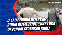 Jasad Pemuda Diterkam Buaya Ditemukan Penuh Luka Gigitan di Sungai Sebangau Kuala
