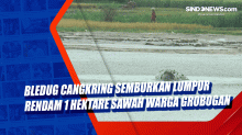 Bledug Cangkring Semburkan Lumpur Rendam 1 Hektare Sawah Warga Grobogan