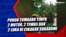 Pohon Tumbang Timpa 2 Motor, 2 Tewas dan 2 Luka di Cikakak Sukabumi