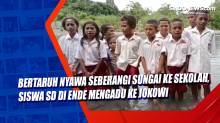 Bertaruh Nyawa Seberangi Sungai ke Sekolah, Siswa SD di Ende Mengadu ke Jokowi