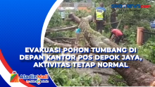 Evakuasi Pohon Tumbang di Depan Kantor Pos Depok Jaya, Aktivitas Tetap Normal