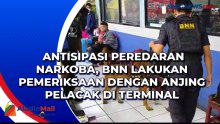 Antisipasi Peredaran Narkoba, BNN Lakukan Pemeriksaan dengan Anjing Pelacak di Terminal Kampung Rambutan