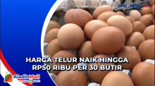 Harga Telur Naik Hingga Rp50 Ribu Per 30 Butir