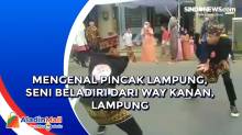 Mengenal Pincak Lampung, Seni Beladiri dari Way Kanan, Lampung
