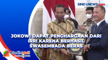 Jokowi Dapat Penghargaan dari IRRI karena Berhasil Swasembada Beras