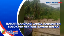 Banjir Bandang Landa Kabupaten Solok, 60 Hektare Sawah Rusak
