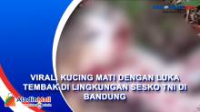 Viral, Kucing Mati dengan Luka Tembak di Lingkungan Sesko TNI di Bandung