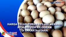 Harga Telur Turun Rp2.000 Menjadi Rp30.000 Per Kilogram di Jakarta Utara