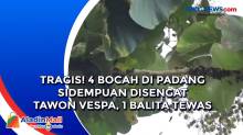 Tragis! 4 Bocah di Padang Sidempuan Disengat Tawon Vespa, 1 Balita Tewas