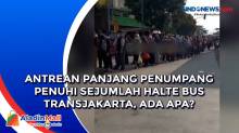 Antrean Panjang Penumpang Penuhi Sejumlah Halte Bus Transjakarta, Ada Apa?