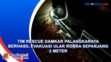Tim Rescue Damkar Palangkaraya Berhasil Evakuasi Ular Kobra Sepanjang 2 Meter