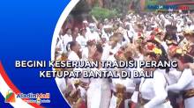 Begini Keseruan Tradisi Perang Ketupat Bantal di Bali