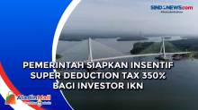 Pemerintah Siapkan Insentif Super Deduction Tax 350% Bagi Investor IKN