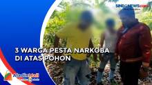 Asik Pesta Narkoba di Atas Pohon, 3 Warga Tak Bisa Kabur saat Digerebek Polisi di Bangkalan