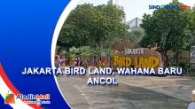 Wahana Baru Ancol Jakarta Bird Land, Ajak Pengunjung Bermain dengan Ratusan Burung