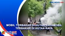 Minibus Terbakar di Kawasan Hutan Raya Mojokerto, Diduga Korsleting Mesin Mobil