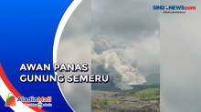 Video Semburan Awan Panas Gunung Semeru dari Pos Pengamatan PVMBG