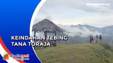 Menikmati Indahnya Permadani Hijau di Tebing Tana Toraja