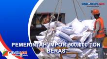 Produksi dalam Negeri Menurun, Pemerintah Impor 500.000 Ton Beras