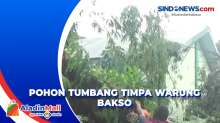 Pohon Tumbang Timpa Warung Bakso di Makassar, 5 Orang Dilarikan ke Rumah Sakit