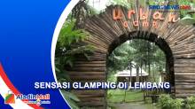 Sensasi Menilkmati Alam dengan Glamping di Lembang