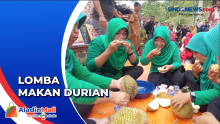 Aksi Lahap Emak-Emak dalam Lomba Makan Durian di Aceh