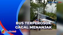 Gagal Nanjak, Sebuah Bus Terperosok di Cicurug Sukabumi