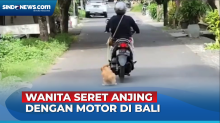 Wanita Seret Anjing dengan Motor di Bali, Pelaku Terancam Penjara 3 Bulan