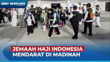 Alhamdulillah! Jemaah Haji Indonesia Gelombang Pertama Tiba di Madinah