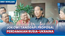 Jokowi Tanggapi Proposal Perdamaian Rusia-Ukraina dari Prabowo, Bagus-Bagus Saja
